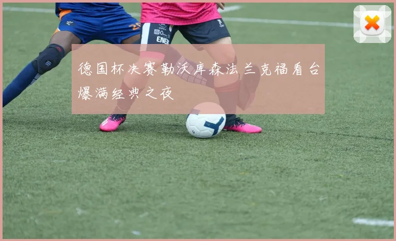 德国杯决赛勒沃库森法兰克福看台爆满经典之夜