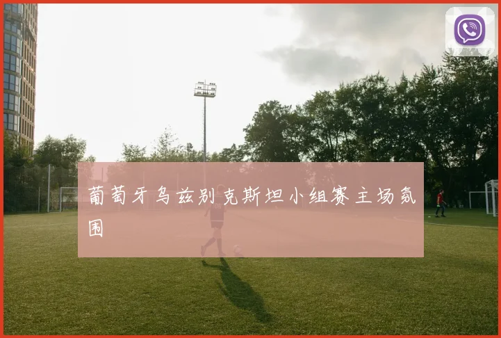 葡萄牙乌兹别克斯坦小组赛主场氛围