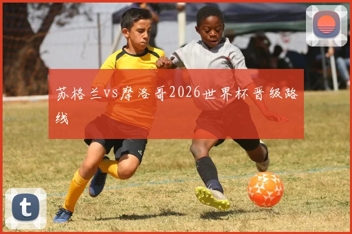 苏格兰vs摩洛哥2026世界杯晋级路线