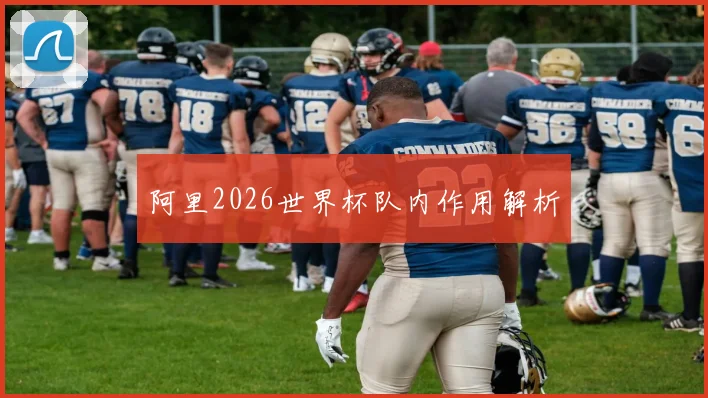 阿里2026世界杯队内作用解析