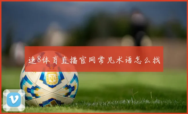 速8体育直播官网常见术语怎么找