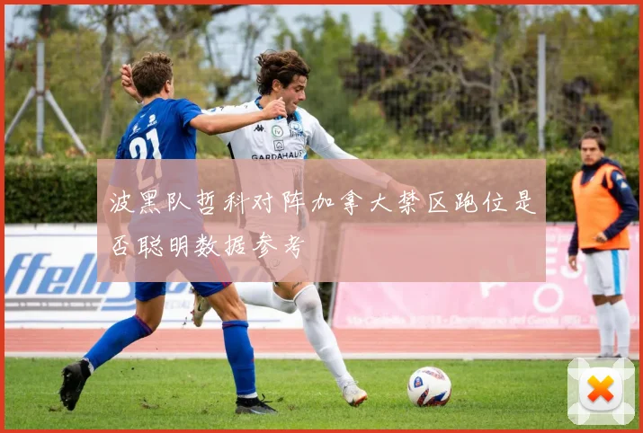 波黑队哲科对阵加拿大禁区跑位是否聪明数据参考