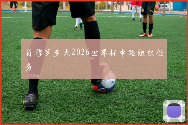 肖穆罗多夫2026世界杯中路组织任务