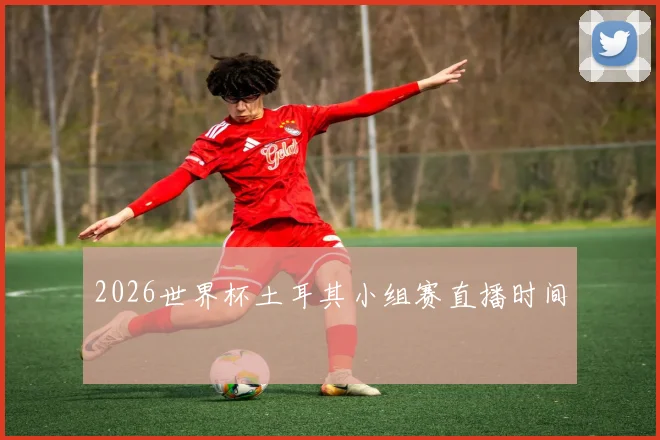 2026世界杯土耳其小组赛直播时间