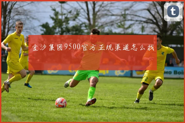 金沙集团9500官方正规渠道怎么找
